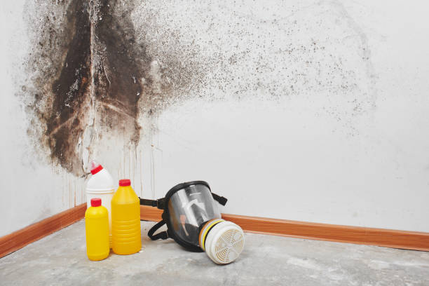 Best Mold Cleaning Services  in Victoria, KS
