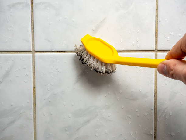 Mold Removal Process in Victoria, KS