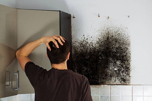 Best Mold Removal Near Me  in Victoria, KS